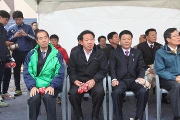 축구연합회장기 직장22회 및 초등25회 축구대회