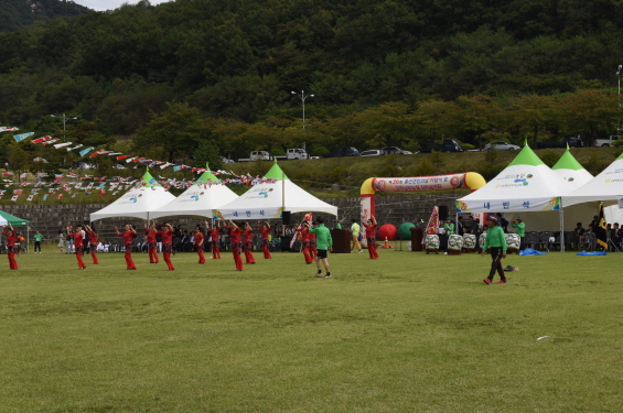 제36회 불은면민의 날 및 제10회 강화남부농협 한마음 체육대회