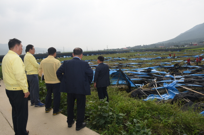 박남춘 인천시장 태풍피해 현장점검(하점면, 교동면)
