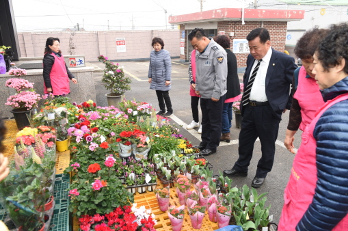 화도면 농가주부모임 새봄맞이 나눔 화훼장터