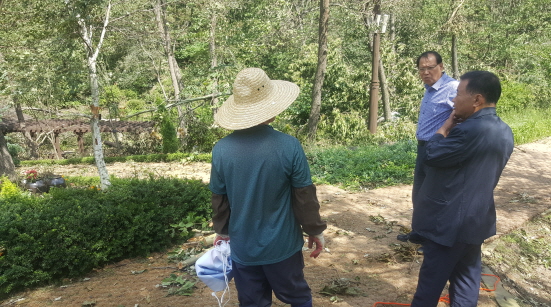 태풍피해 현장점검