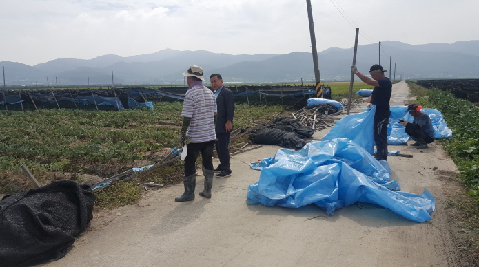 태풍피해 현장점검(하점면)