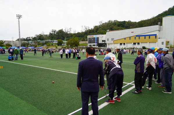 대한노인회 강화읍분회장기 게이트볼 대회