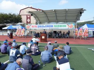 제17회 강화군 노인회장기 게이트볼대회