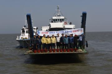 2019 강화군 수산자원 조성사업(치어 방류)